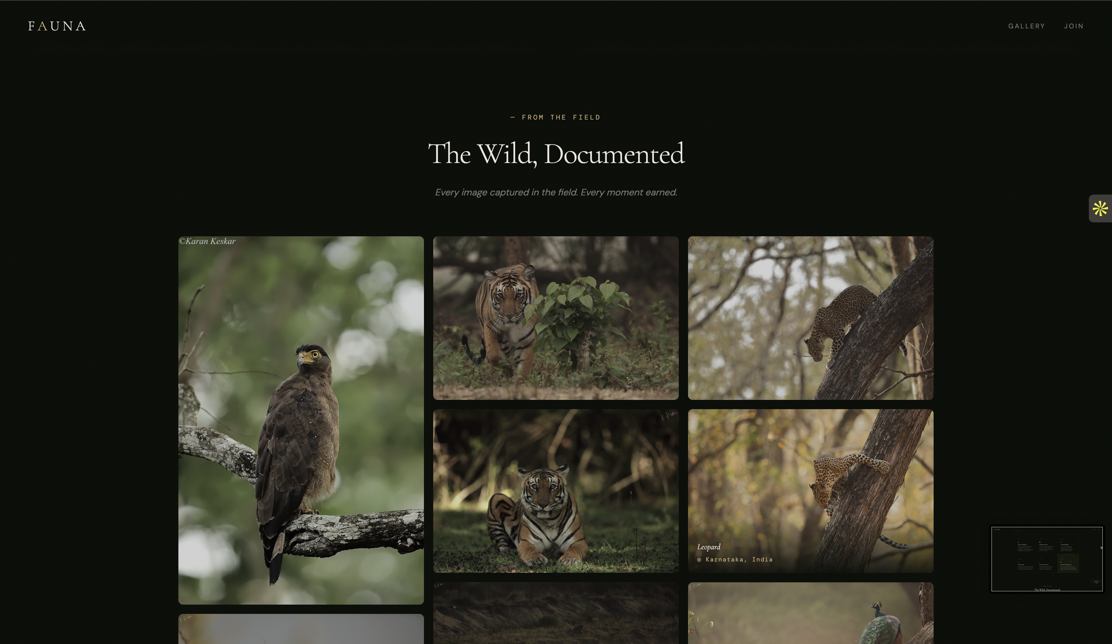 Fauna - Wildlife Social Media - Image3