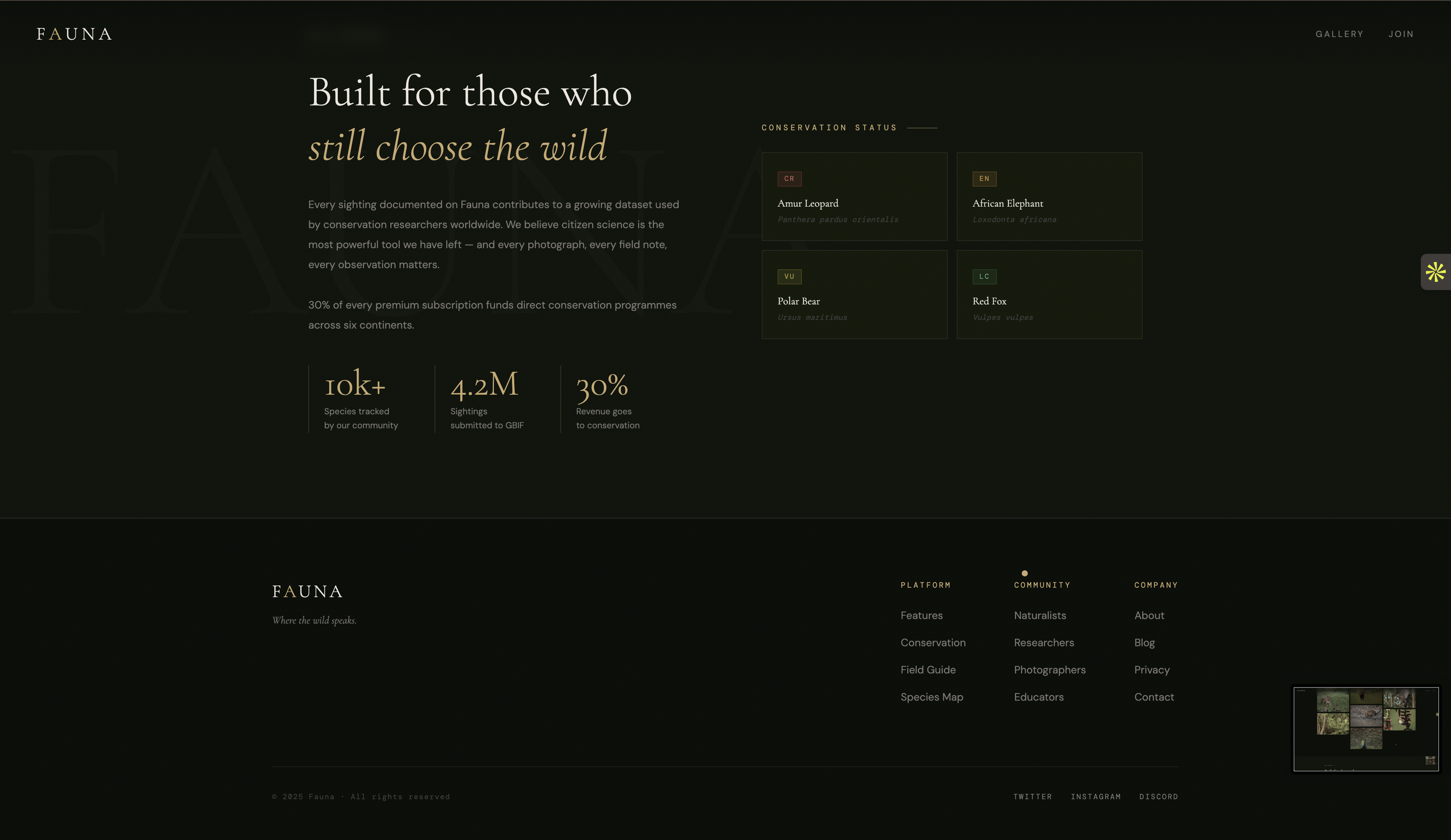 Fauna - Wildlife Social Media - Image6